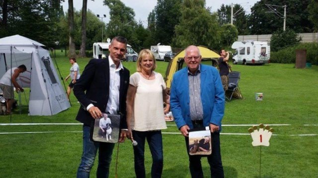 Ausstellung 2015 Bild 25